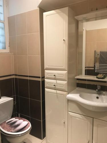 une salle de bain avec un lavabo, des toilettes et un miroir dans l'établissement Garden Carras, à Nice
