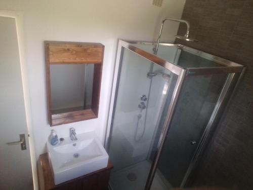 ein Bad mit einer Dusche und einem Waschbecken in der Unterkunft Le Lilas in Beuzeville