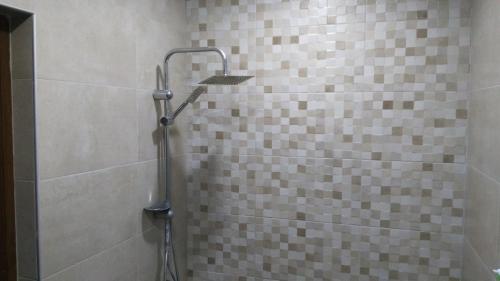 ムツヘタにあるGuest House Gelitのタイル張りの壁のバスルーム(シャワー付)
