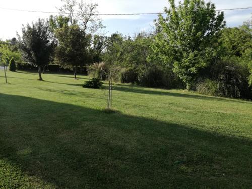 a tree in the middle of a grass field at Casa il Ponte in Chianni