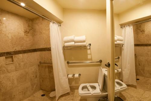a bathroom with a toilet and a shower at Hotel Meson de Jobito in Zacatecas