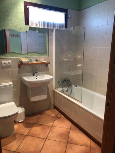 y baño con aseo, lavabo y ducha. en Hotel CTR San Baudelio, en Casillas de Berlanga