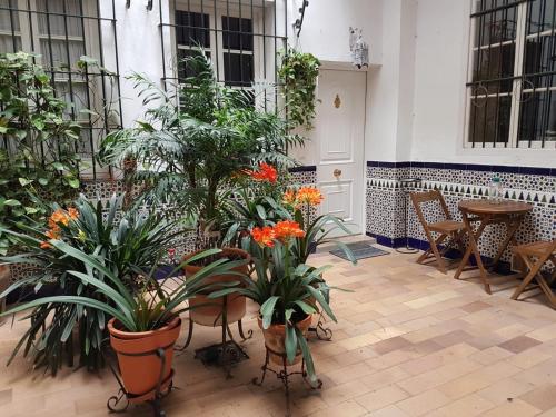 un patio con plantas, mesa y sillas en Apartamento Cruz Vieja en Jerez de la Frontera