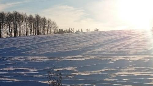a snow covered hill with trees on the horizon at Willa Bobrowa Dolina in Wójtostwo