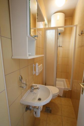 a small bathroom with a sink and a toilet at Villa Prestige in Mostar