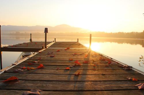 a dock on a lake with birds on it at La Maison Jaune D'Eastman in Eastman