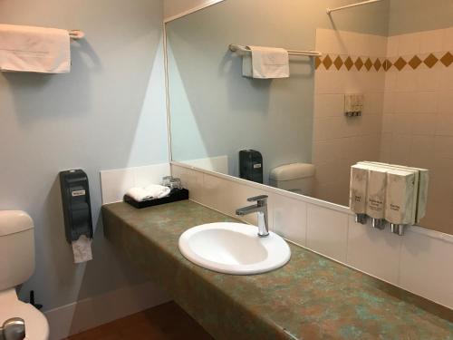 a bathroom with a sink and a mirror at Springwood Motor Inn in Springwood