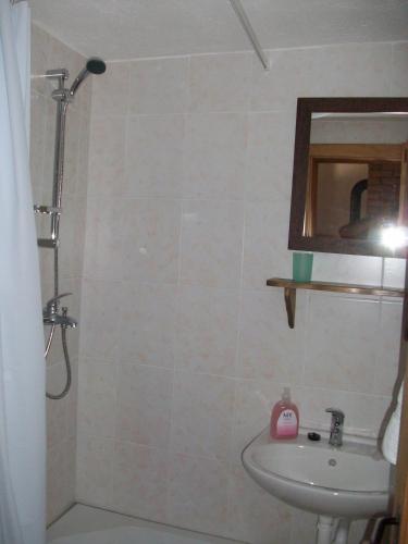 a bathroom with a shower and a sink and a mirror at Ethno Village Stara Lonja in Lonja