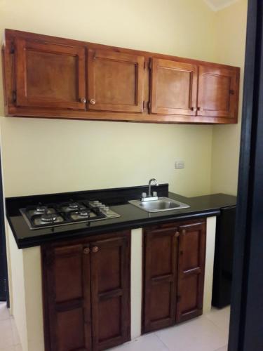 a kitchen with wooden cabinets and a sink at villa Clara in Los Róbalos