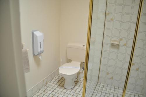 a bathroom with a toilet and a shower stall at Yambil Inn in Griffith