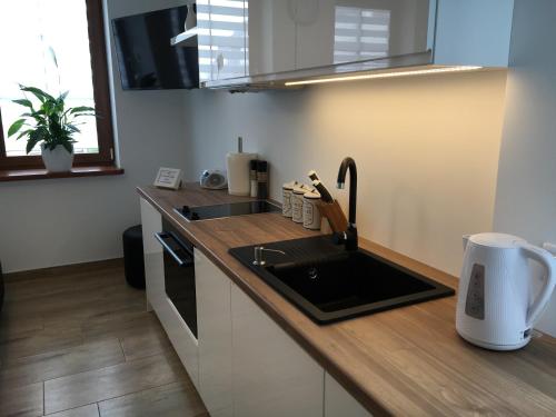 Kuchyň nebo kuchyňský kout v ubytování Apartamenty AP 1