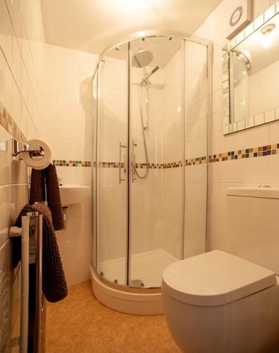 a bathroom with a shower and a toilet at Garden Apartment, 1 Pilots Point in Totland