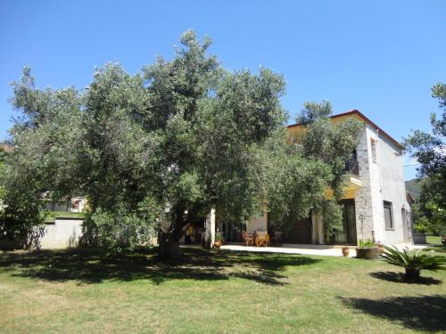 Gallery image of Holiday Villa Vee in Nea Skioni