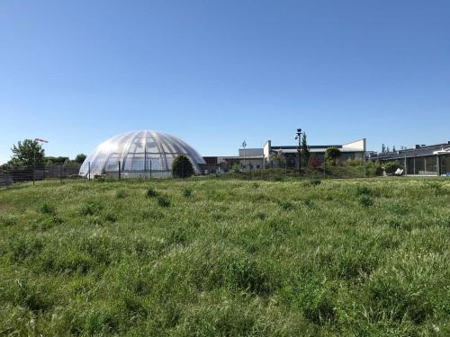 a glass dome on top of a field of grass at Vital Hotel an der Therme GmbH in Bad Windsheim