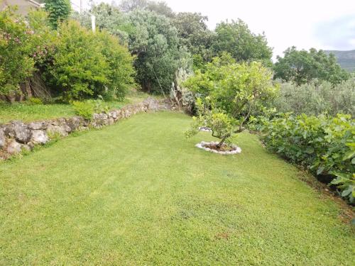 a garden with a small tree in the grass at Marivo Guest House in Molunat