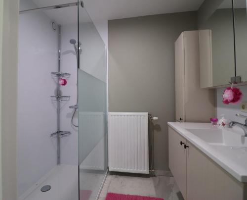 bagno con doccia in vetro e lavandino di Stefjes Holiday Home a Dilsen-Stokkem