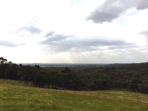 a view from the top of a hill with trees at Hilltop Tiny House by Tiny Away in Tallarook