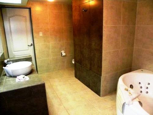 Un baño con bañera, inodoro y lavabo. en Hotel San Francisco Irapuato Business Class, en Irapuato