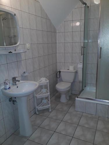 a bathroom with a sink and a toilet and a shower at Pokoje Salent in Mrągowo