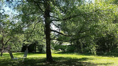 a tree in a park with two chairs under it at Le Cèdre enchanté in La Guiche