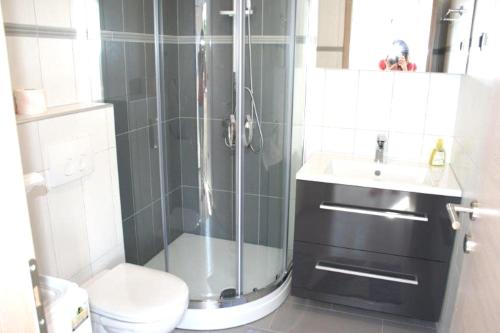 a bathroom with a shower and a toilet and a sink at Lucija Apartments in Krk