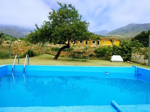 Swimmingpoolen hos eller tæt på Finca El Carrascal