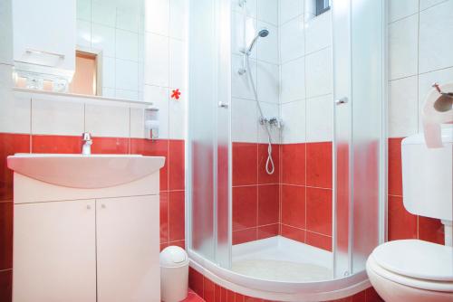 a bathroom with a shower and a sink and a toilet at Apartment Ante in Slunj