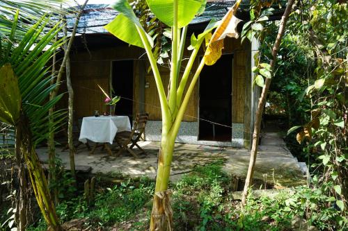 a house with a table and a plant in the yard at mekong floating market Nam Giang homestay in Cai Be