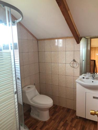 a bathroom with a toilet and a sink at Cabañas Anavai Rapa Nui in Hanga Roa