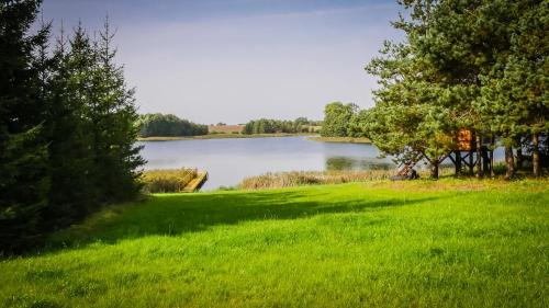 a grassy field with a lake in the background at Dom w Głuszynie z linią brzegową in Głuszyn