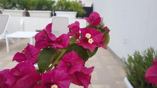 a bunch of purple flowers in a vase at Torres Suite in Polignano a Mare
