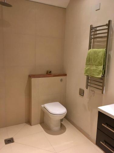 a bathroom with a toilet and a green towel at killarney barn in Petersfield