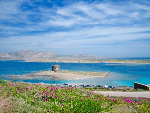 a small island in the middle of a body of water at Apartment Valentina in Tergu