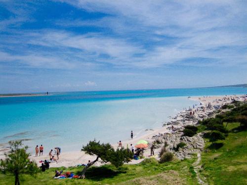 a group of people on a beach near the water at Apartment Valentina in Tergu