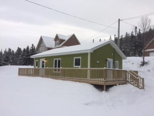a green house with a deck in the snow at Bambury's Hillside Chalets in Rocky Harbour