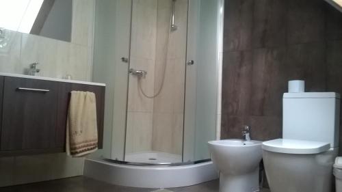 a bathroom with a shower and a toilet and a sink at Ptasi Folwark in Dolistowo