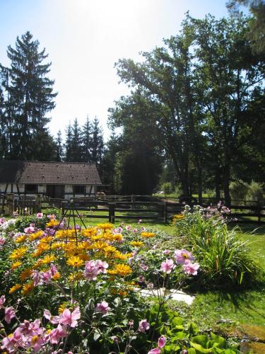 a garden of flowers with a building in the background at Ferienwohnung Hubner in Bernlohe