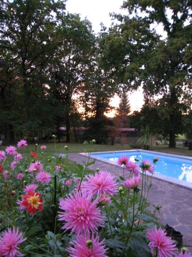 a garden with pink flowers and a swimming pool at Ferienwohnung Hubner in Bernlohe