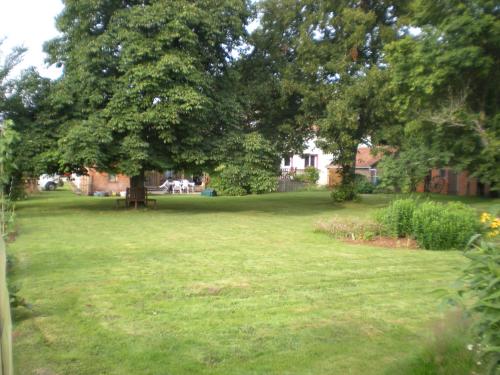 a green yard with a large tree in it at Le Chene Vert in Millac