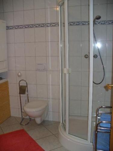 a bathroom with a toilet and a shower at Ferienhaeuser-Am-Eichenberg-Haus-2 in Blankenburg