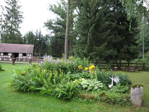 a garden of flowers in the yard of a park at Ferienwohnung Hubner in Bernlohe