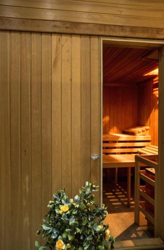 a plant in front of a wooden wall with a door at Landhaus Fischer in Sankt Andreasberg