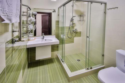 bagno con doccia, lavandino e servizi igienici di Guest house Kolibri a Gelendzhik
