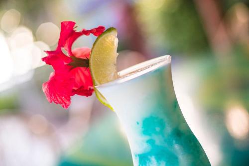 Gallery image of Chabil Mar Villas - Guest Exclusive Boutique Resort in Placencia Village