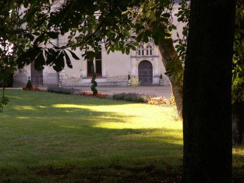 un albero in un campo con un edificio sullo sfondo di Château de la Court d'Aron a Saint-Cyr-en-Talmondais