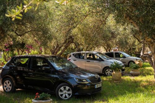 Fotografie z fotogalerie ubytování Orionas Village v destinaci Kato Daratso