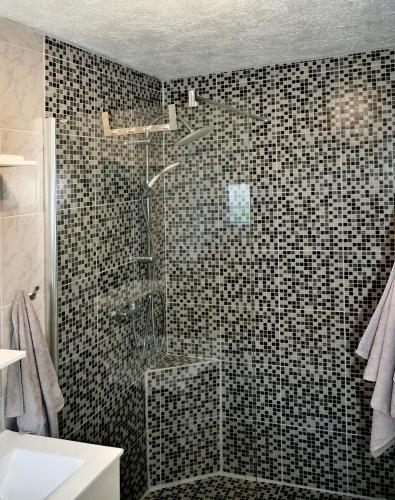 a shower in a bathroom with black tiles at B&B On The Rocks in Blizna Donja