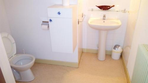 uma casa de banho com um WC e um lavatório em Hôtel St Joseph em Vic-sur-Cère