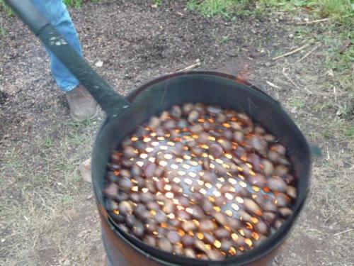 a pan full of food being stirred by a person at Ferienhaus Vogeljager in Leutschach