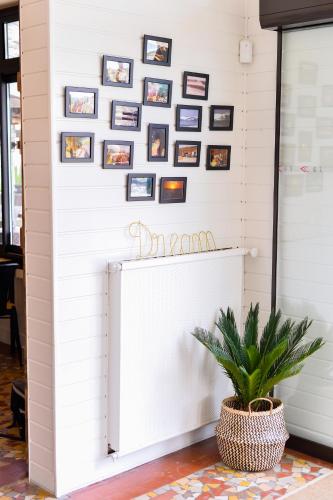 a wall of framed photos on a wall with a plant at Single Fin Hotel & Lodge in Mimizan-Plage